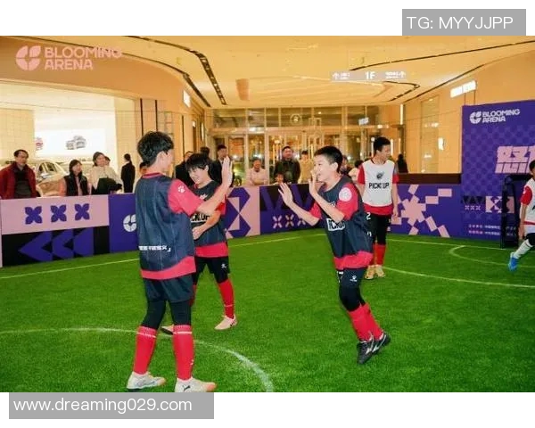 日本街头足球明星齐聚一堂共同庆祝足球文化的魅力与激情