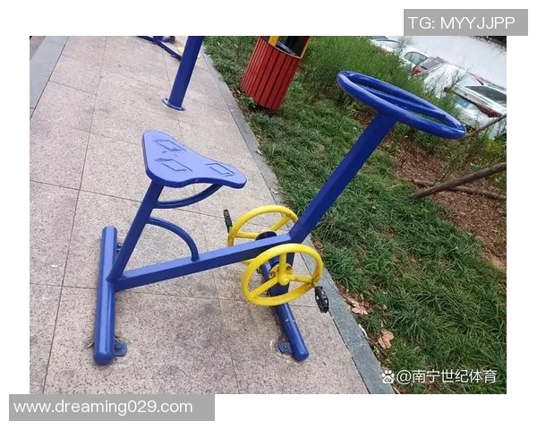 求购高品质户外健身器材欢迎推荐适合家庭和团体使用的多功能设备